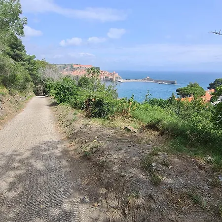 Vue De Carte Postale Et Piscine !